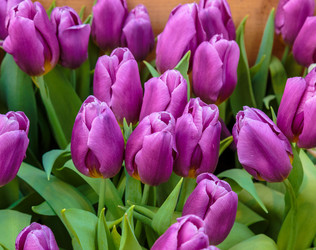 Similar image 22459149