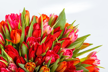 Similar image 22459150