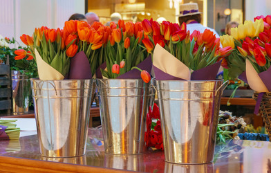 Similar image 22459151