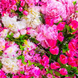 Similar image 22459152