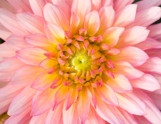 Similar image 22459161