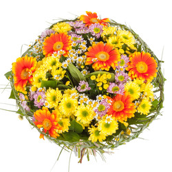 Similar image 22459166