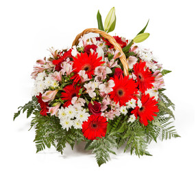 Similar image 22459171