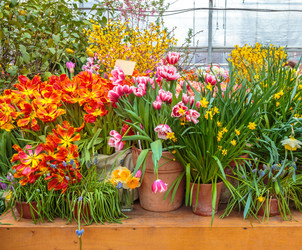 Similar image 22459172