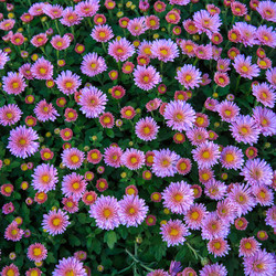 Similar image 22459174