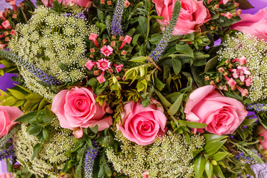 Similar image 22459184