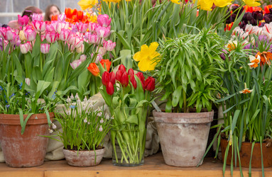 Similar image 22459186