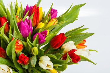 Similar image 22459187