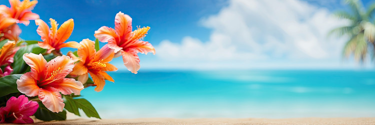 Similar image 22467429