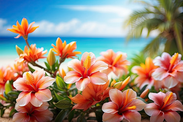 Similar image 22467444