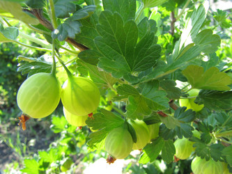 Similar image 22464650