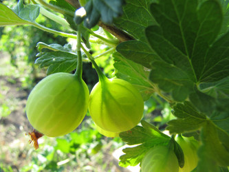 Similar image 22464651