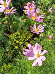 Similar image 22464653