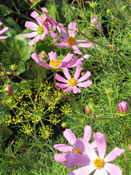 Similar image 22464654