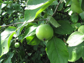 Similar image 22464655