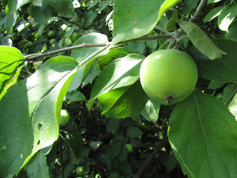 Similar image 22464656