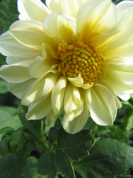 Similar image 22464657