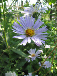 Similar image 22464665