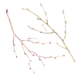 Similar image 22460687