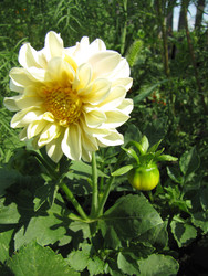 Similar image 22464667