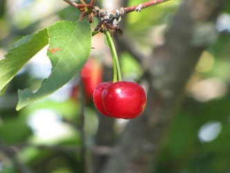 Similar image 22464668