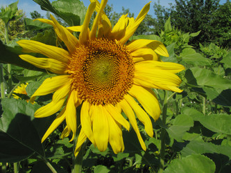 Similar image 22464669