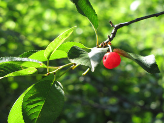 Similar image 22464670