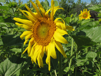 Similar image 22464671