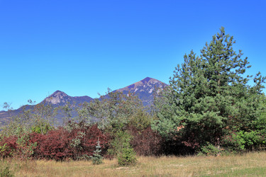 Similar image 22464624