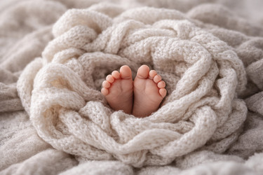 Similar image 22473510