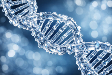 Similar image 22473511