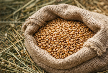 Similar image 22473513