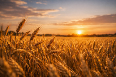 Similar image 22473515