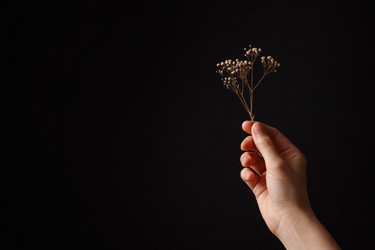 Similar image 22473526