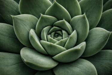 Similar image 22473531