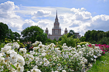 Similar image 22464560