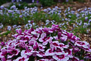 Similar image 22464561