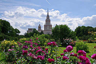 Similar image 22464563