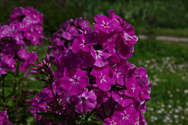 Similar image 22464565