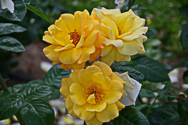 Similar image 22464567