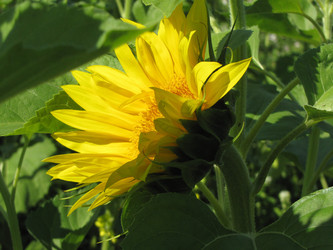 Similar image 22464672