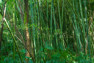 Similar image 22469670