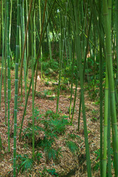 Similar image 22469671