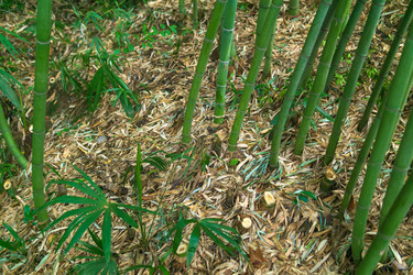 Similar image 22469674