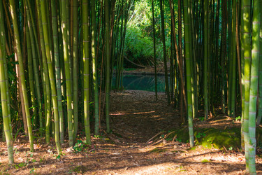 Similar image 22469680