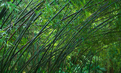 Similar image 22469681