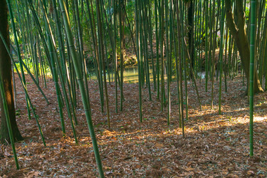 Similar image 22469682