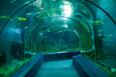 Similar image 22469683