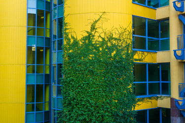 Similar image 22469684