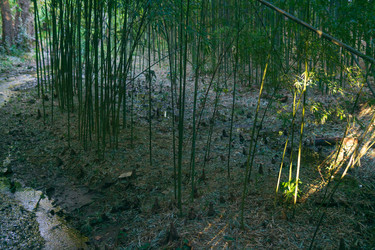 Similar image 22469688